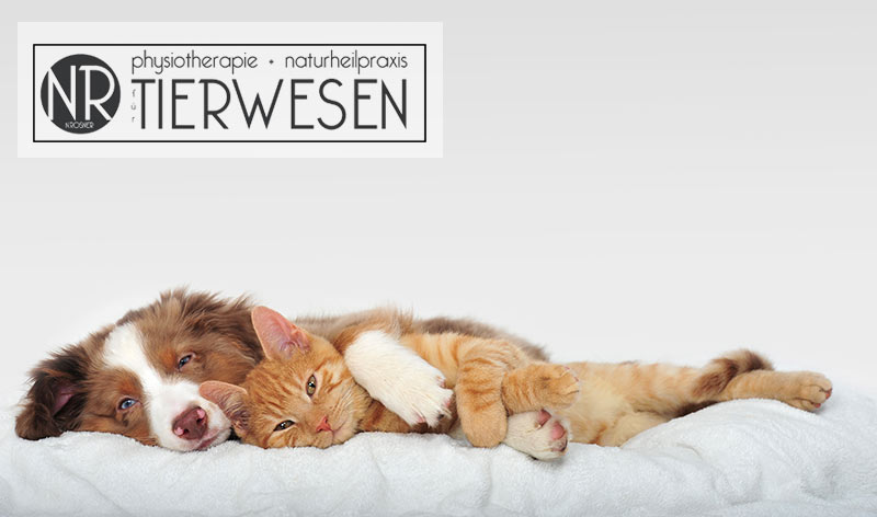 rukh wuerttembergische